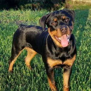 Meet your Posher, Marta